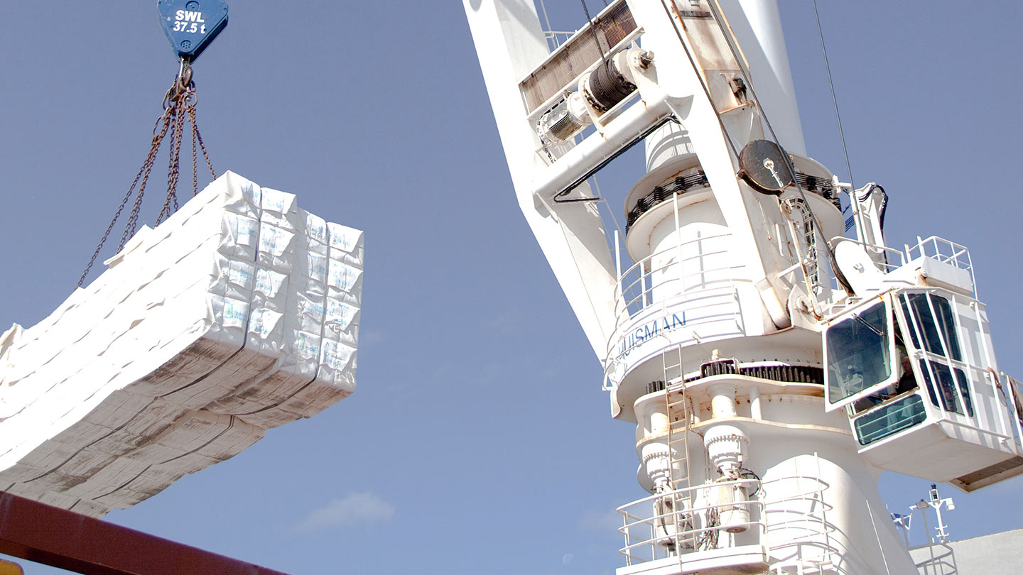 picture of a crane holding a pulp unit loading it