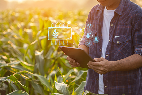 Farmer on the field with a Pad / Tablet computer and showcasing IoT icons to suggest some data is being collected for Eudr compliance reasons
