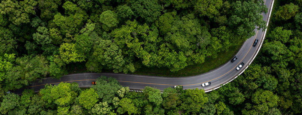 aerial picture of a forest and a road running through it with some cars driving
